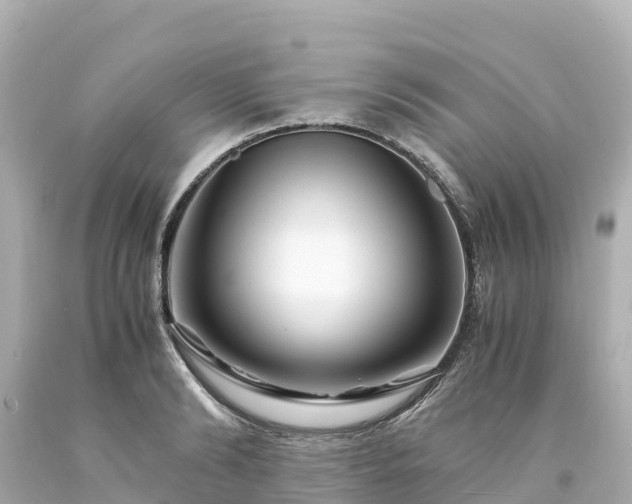 X0000094200894200711021049
