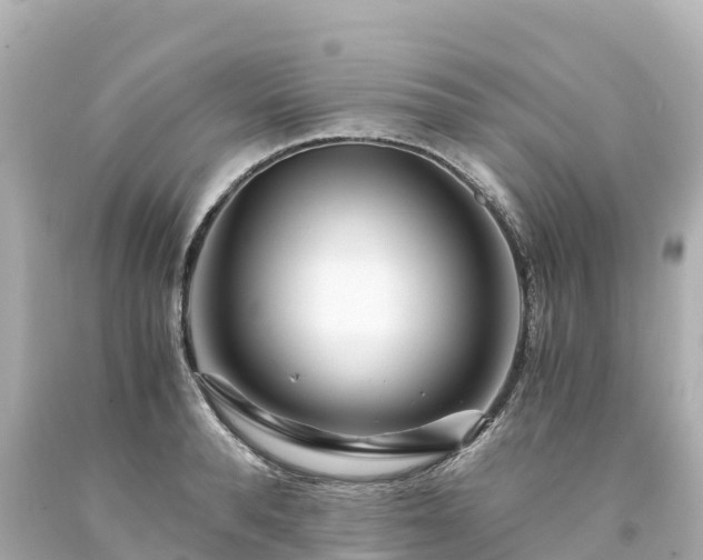 X0000094200896200711021049