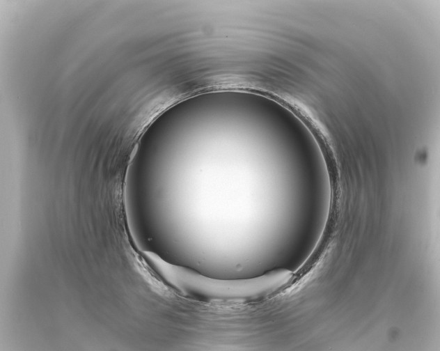 X0000094200897200711021049