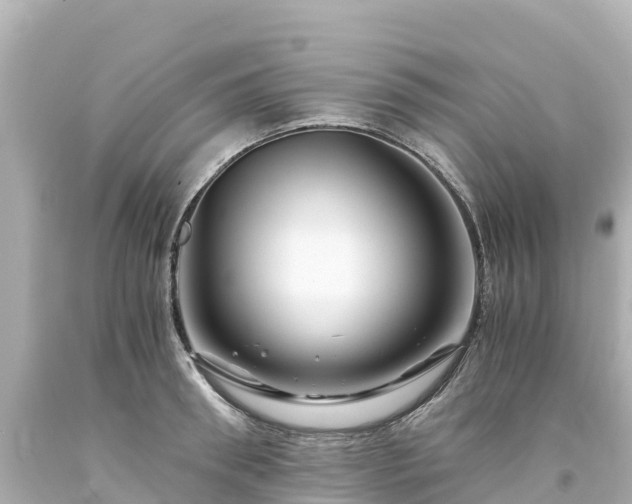 X0000094200898200711021049