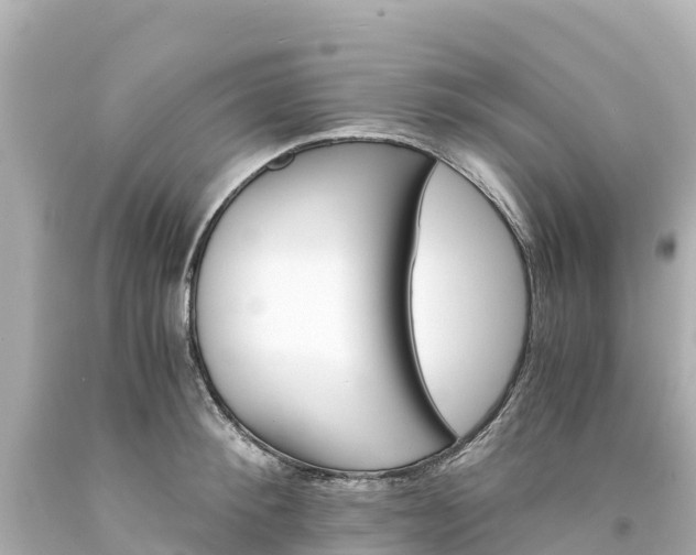 X0000094200900200711021049
