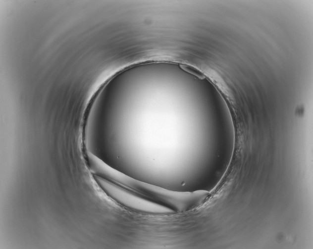 X0000094200904200711021049