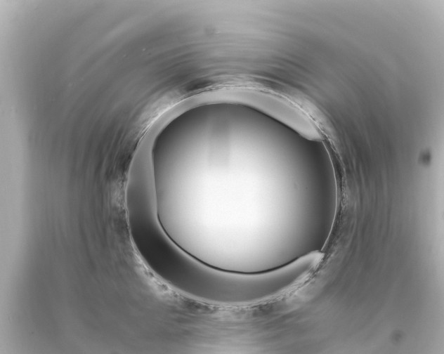 X0000094200905200711021049