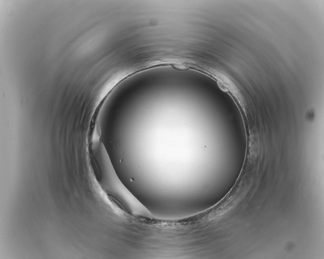 X0000094200906200711021049