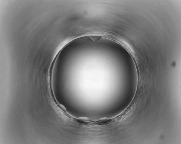 X0000094200907200711021049