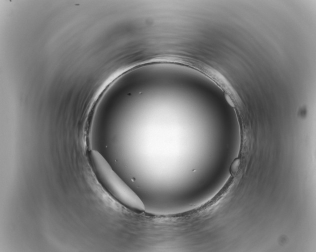 X0000094200908200711021049