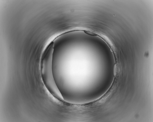 X0000094200910200711021049