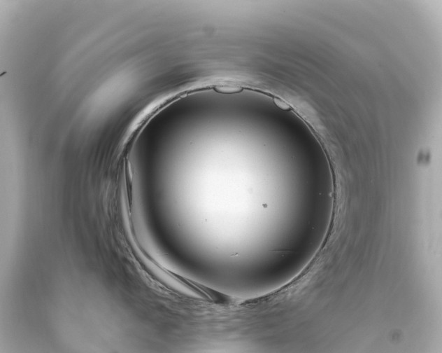 X0000094200912200711021049