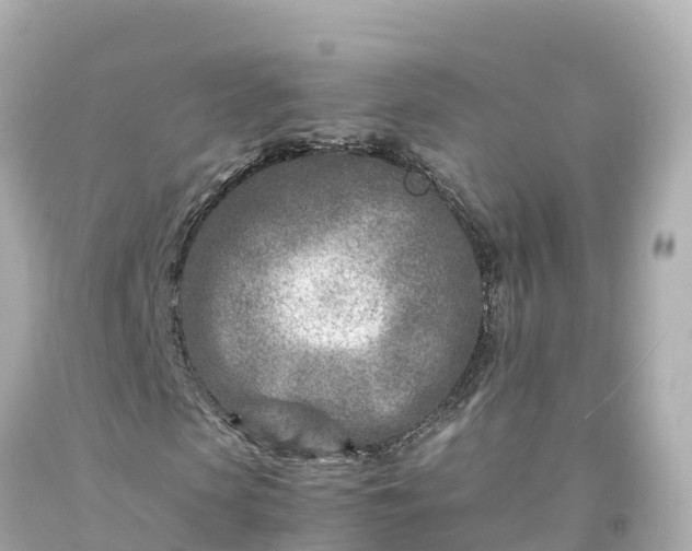 X0000094200913200711021048