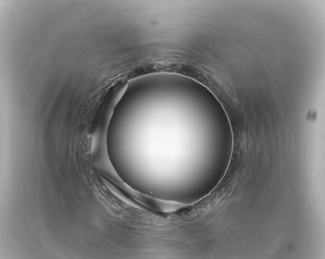 X0000094200914200711021048