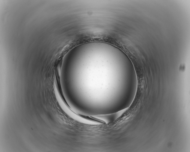 X0000094200916200711021048