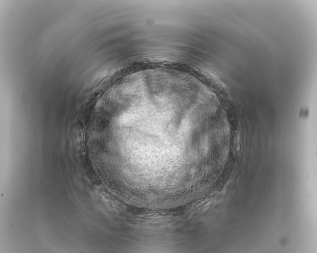 X0000094200917200711021048
