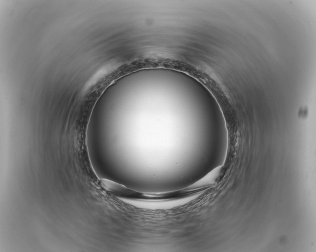 X0000094200919200711021048