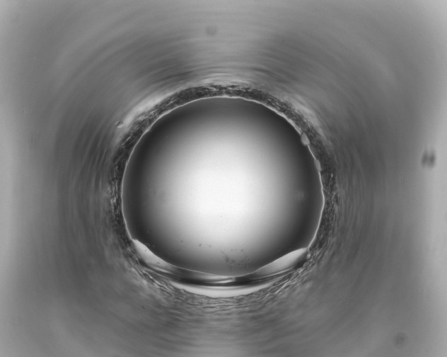 X0000094200920200711021048