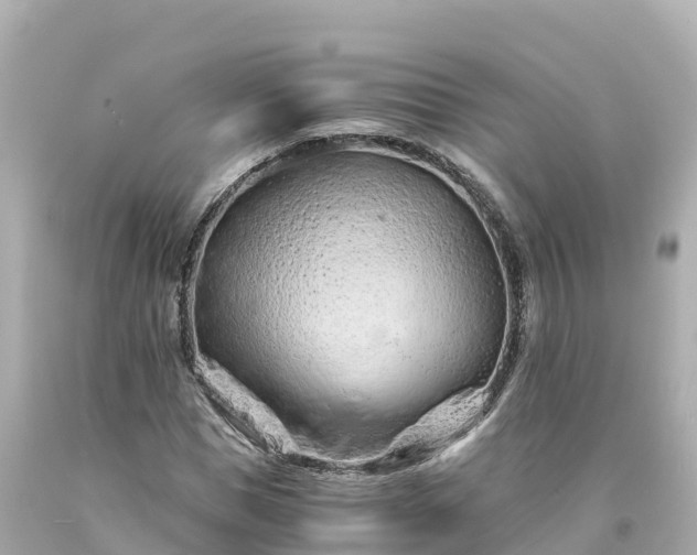X0000094200921200711021048