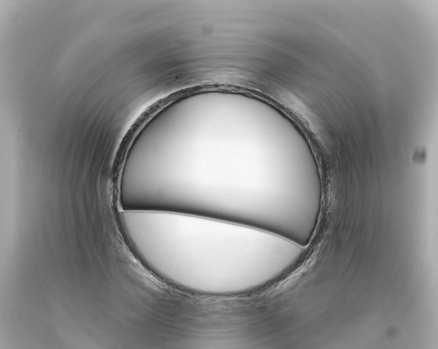 X0000094200924200711021048