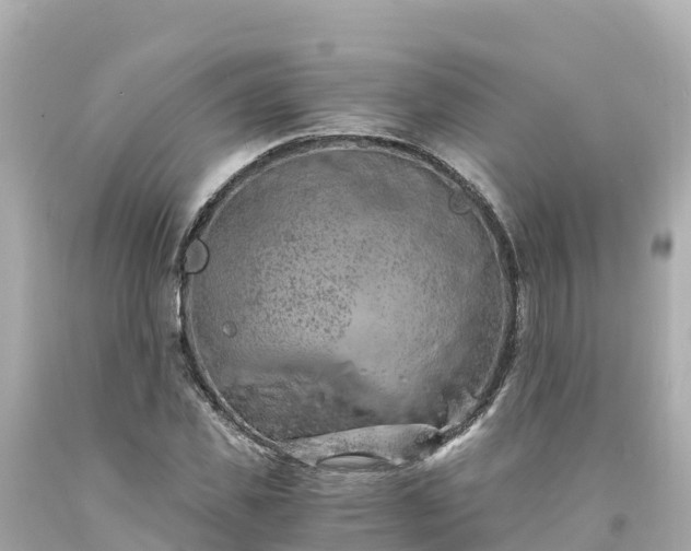 X0000094200925200711021048