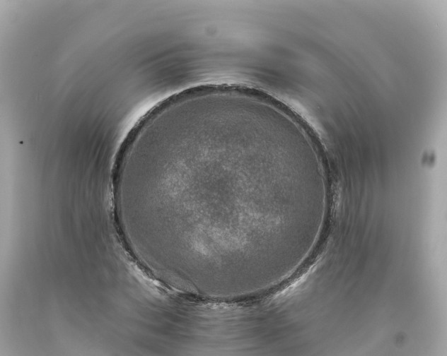 X0000094200927200711021048