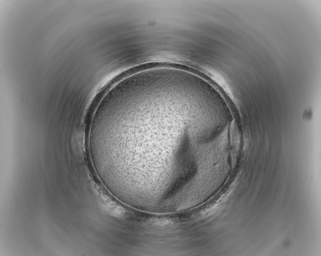 X0000094200931200711021048