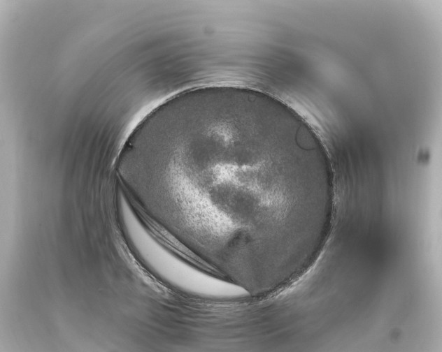 X0000094200933200711021048
