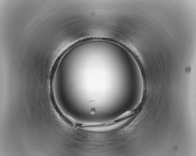X0000094200935200711021048