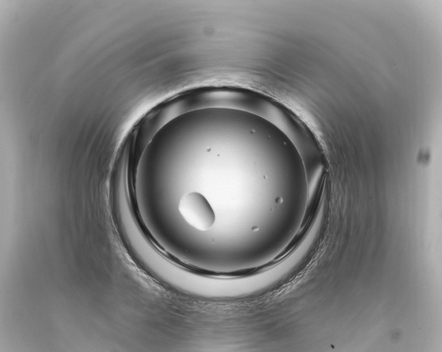 X0000094200936200711021048