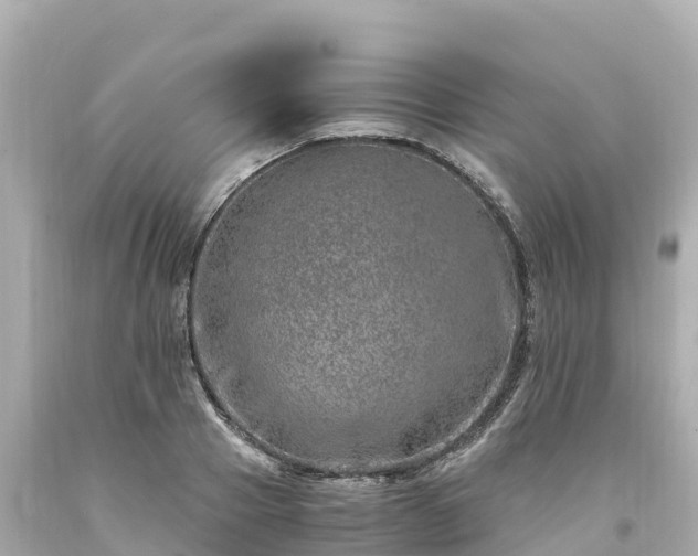 X0000094200937200711021048