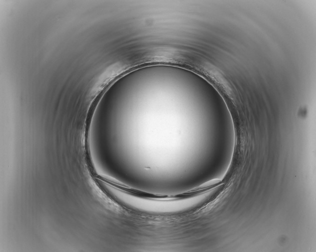 X0000094200938200711021048