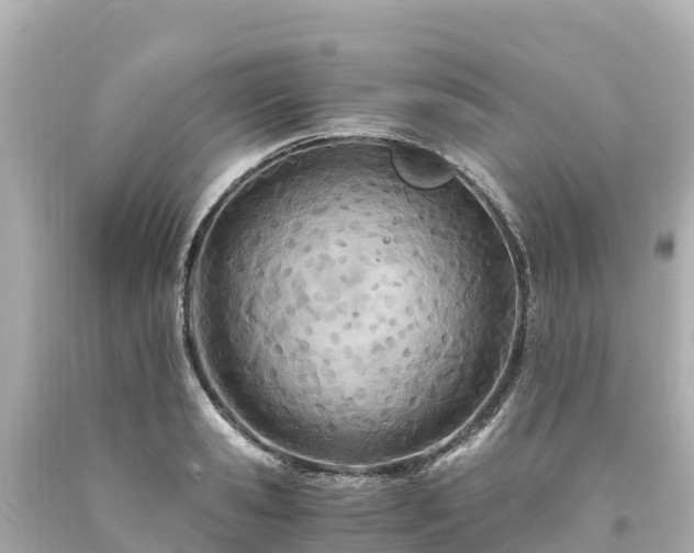 X0000094200941200711021048