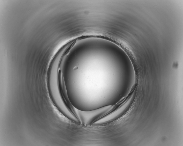 X0000094200942200711021048