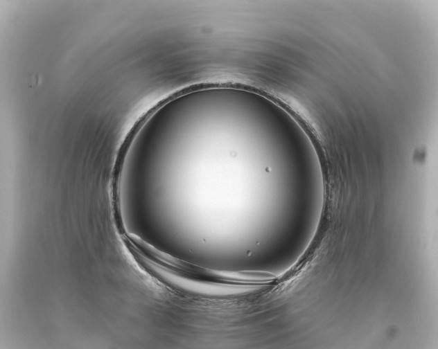 X0000094200943200711021048