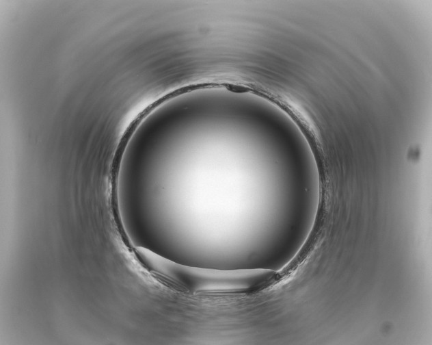 X0000094200944200711021048