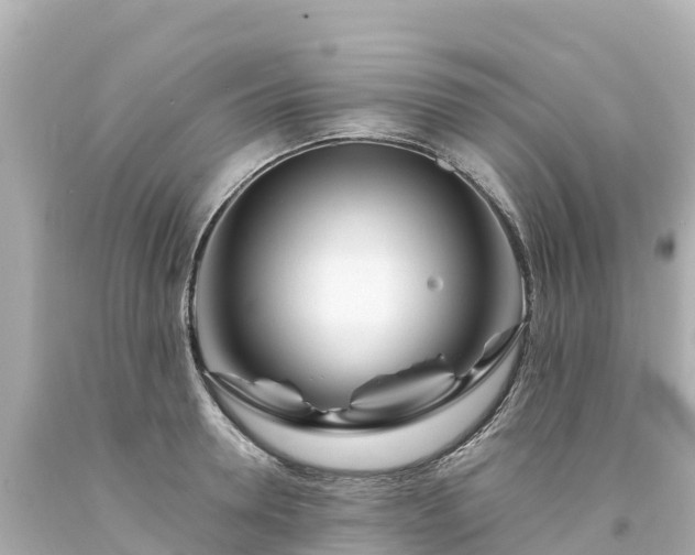 X0000094200946200711021048