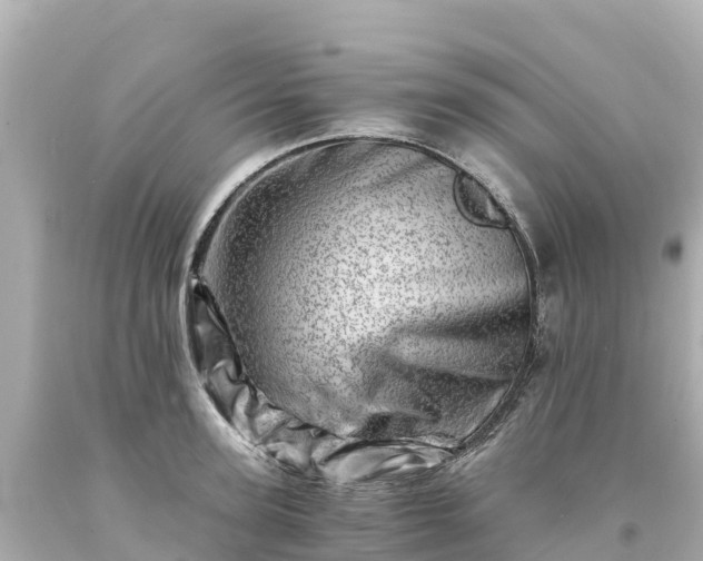 X0000094200947200711021048