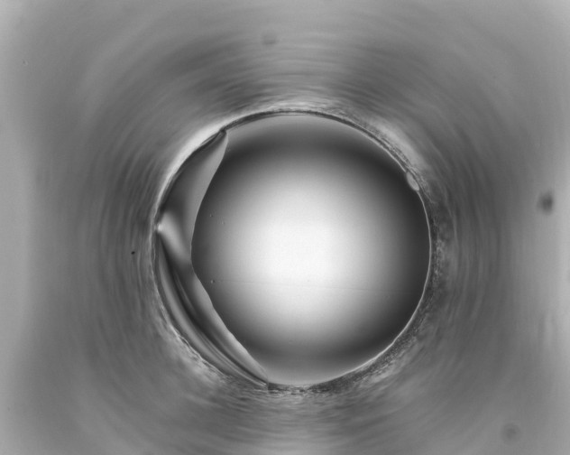 X0000094200948200711021048
