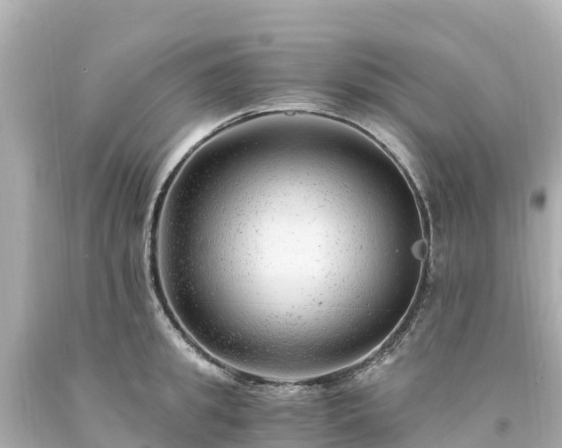 X0000094200949200711021048