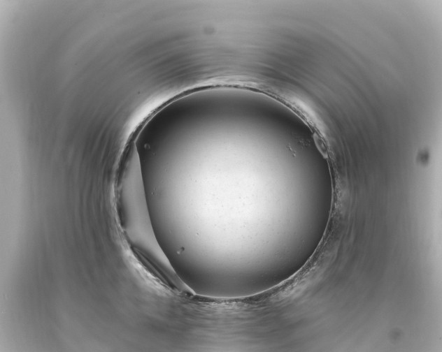 X0000094200952200711021049