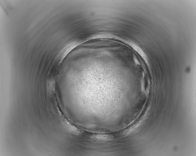X0000094200953200711021049
