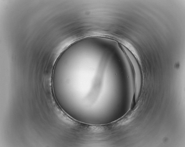 X0000094200954200711021049