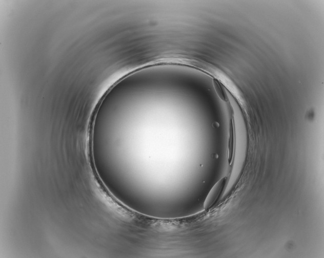 X0000094200955200711021049