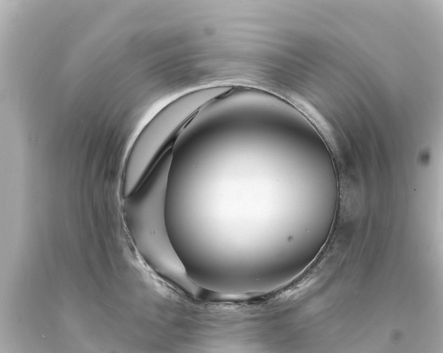 X0000094200956200711021049
