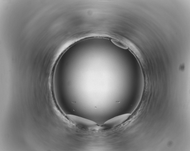 X0000094200958200711021049
