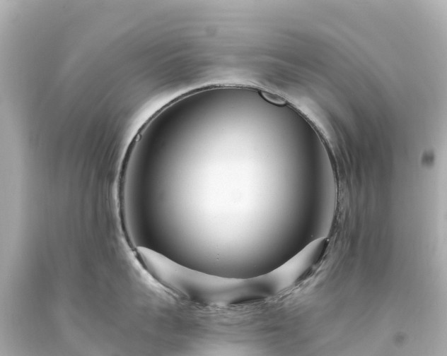 X0000094200959200711021049