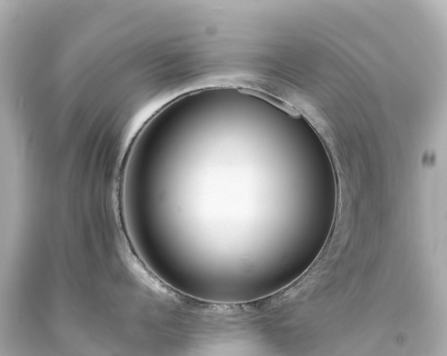 X0000094200960200711021049