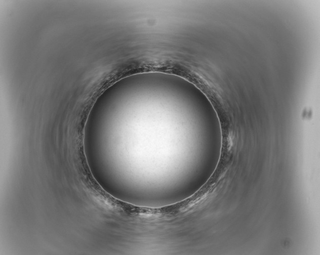 X0000094200961200711021048