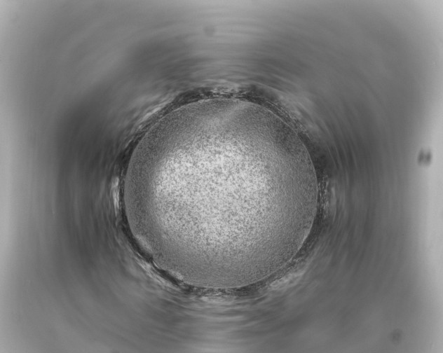 X0000094200962200711021048