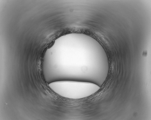 X0000094200964200711021048