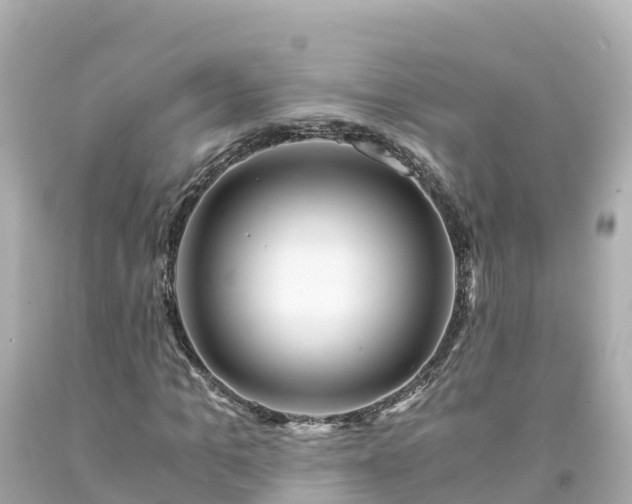 X0000094200965200711021048