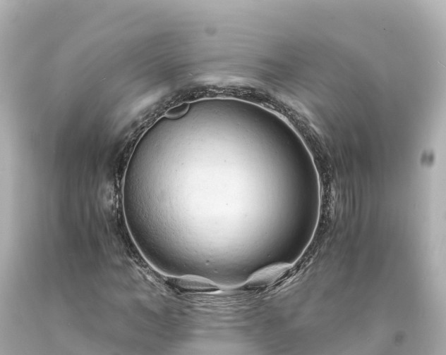 X0000094200966200711021048