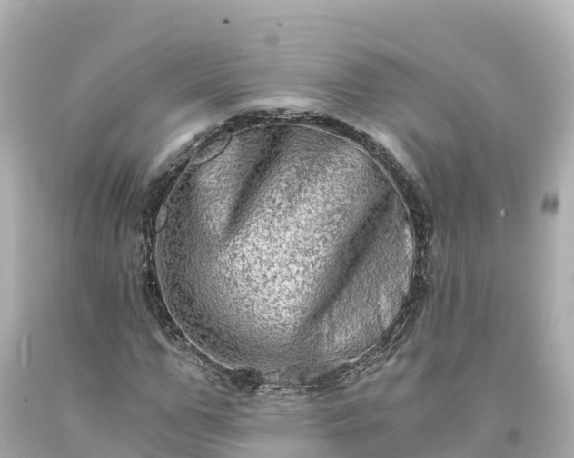 X0000094200967200711021048